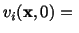 $\displaystyle v_i(\mathbf{x},0)=\ $