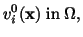 $\displaystyle v^0_i(\mathbf{x})\ {\rm in}\ \Omega,$