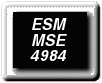esmmse4984/